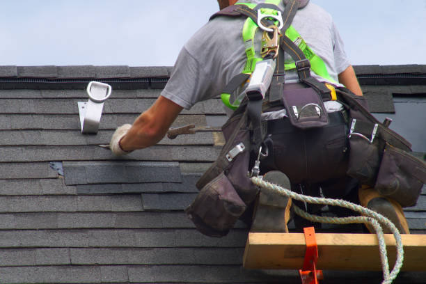 Best Metal Roofing Contractor  in Deridder, LA