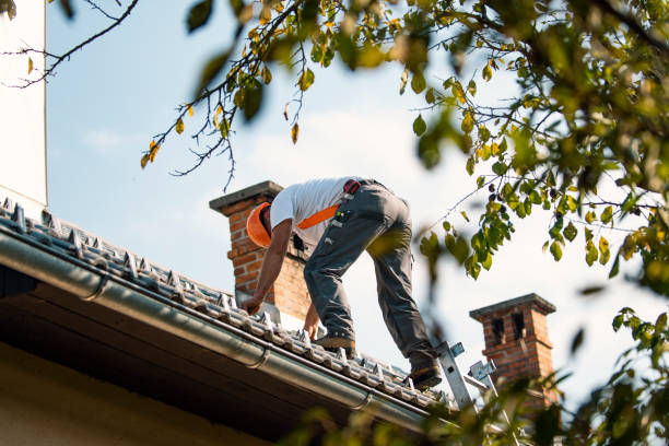 Best Residential Roofing Contractor  in Deridder, LA