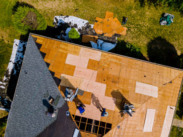 Best Flat Roof Repair Services  in Deridder, LA